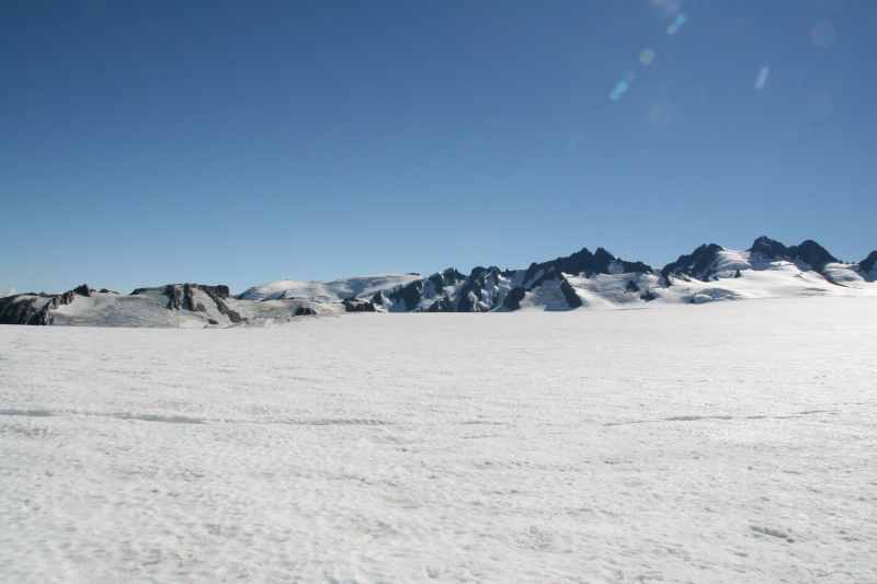 Nieuw-Zeeland 2011 - 1501